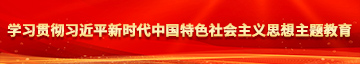 美女被操逼视频网站学习贯彻习近平新时代中国特色社会主义思想主题教育